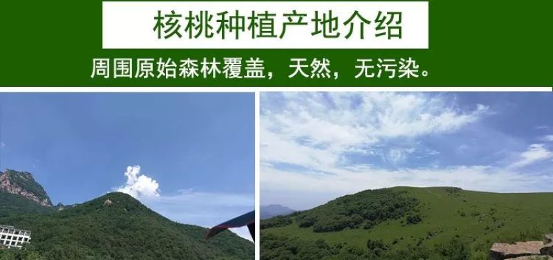 垣曲青皮核桃一件代发才下枝头就上舌尖