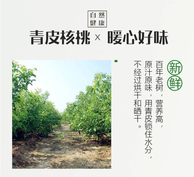 垣曲青皮核桃一件代发才下枝头就上舌尖
