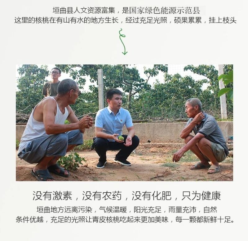 垣曲青皮核桃一件代发才下枝头就上舌尖