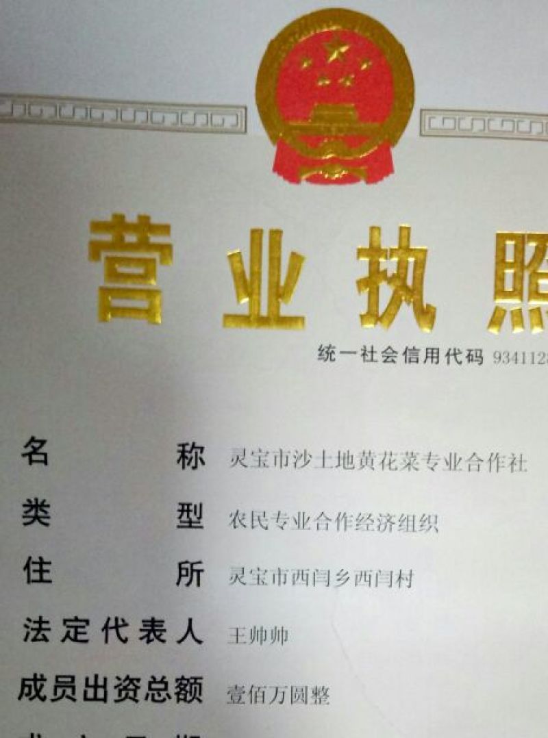 黄花菜灵宝大条菜直条菜白条菜95干无添加原品菜（不包邮）