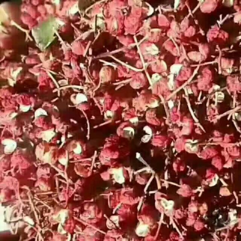 花椒一级干