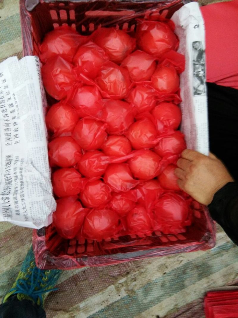 大草原的奉献，品质杠杠滴！可发高档市场
