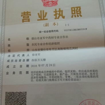 颠茄草2020年新草预售欢迎药厂前来考察洽谈