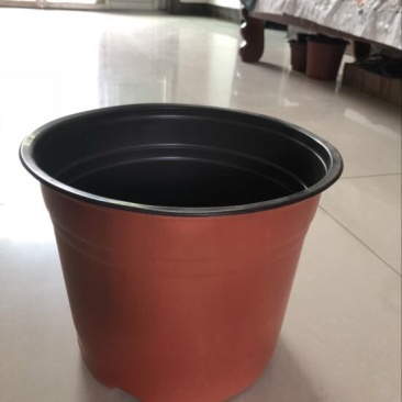 花盆塑料