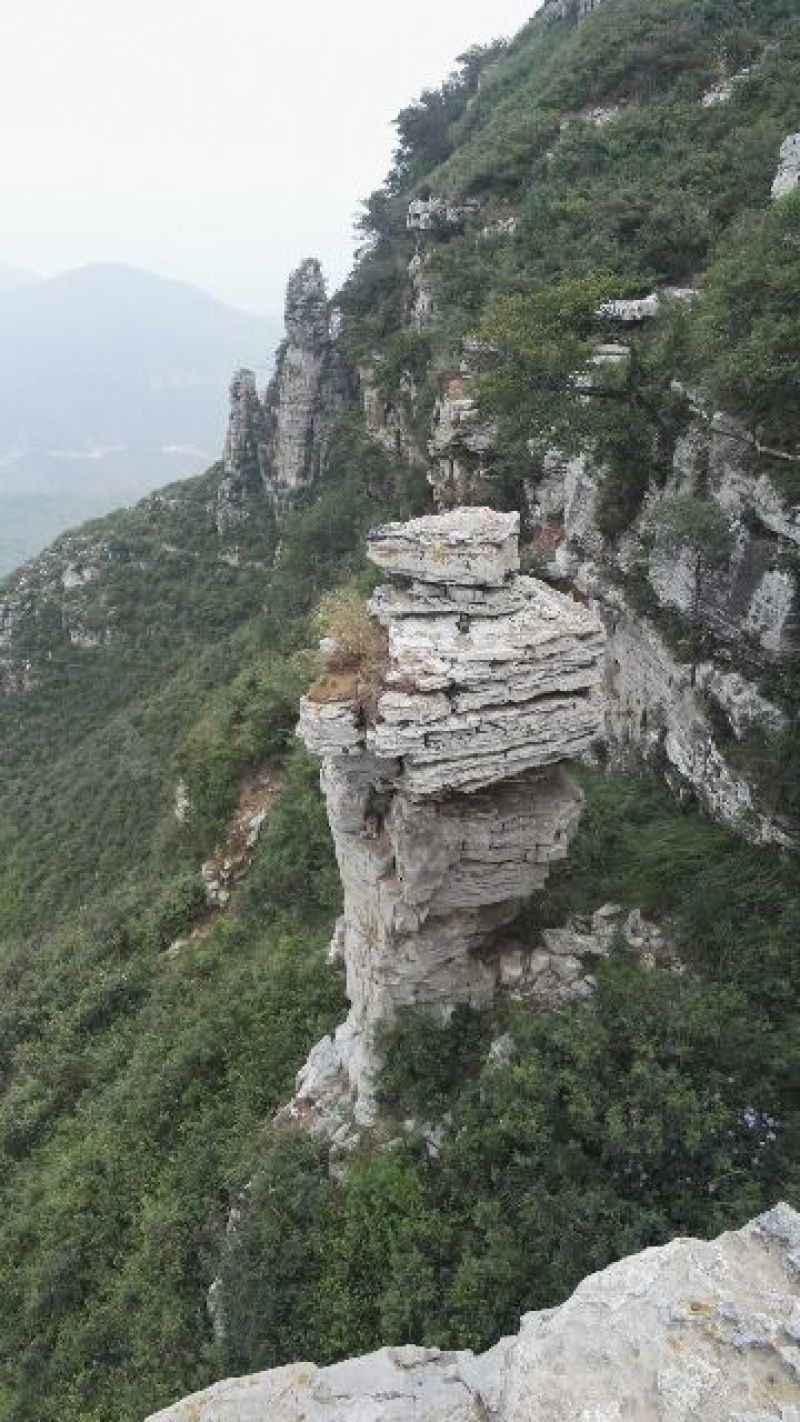 文玩核桃