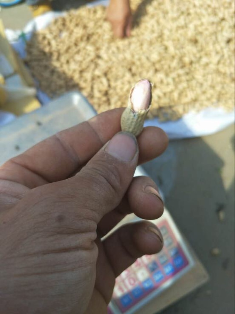 鲁花系列鲜货带壳