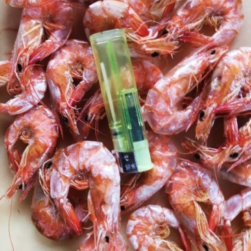 真正的海水虾干，比想象的还要好吃