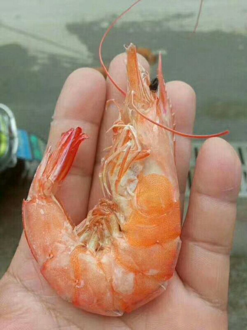 烤对虾干，250克一包