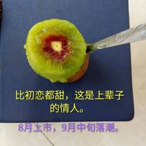 红心猕猴桃大果70g以上超甜6.5元一斤，100斤起订
