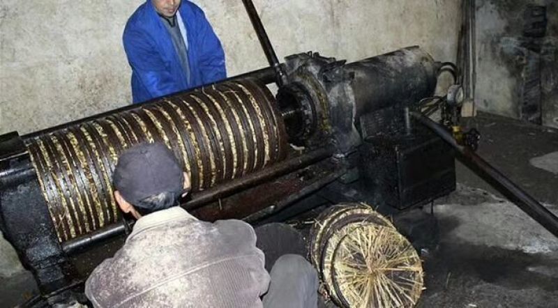 山茶油