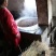山茶油