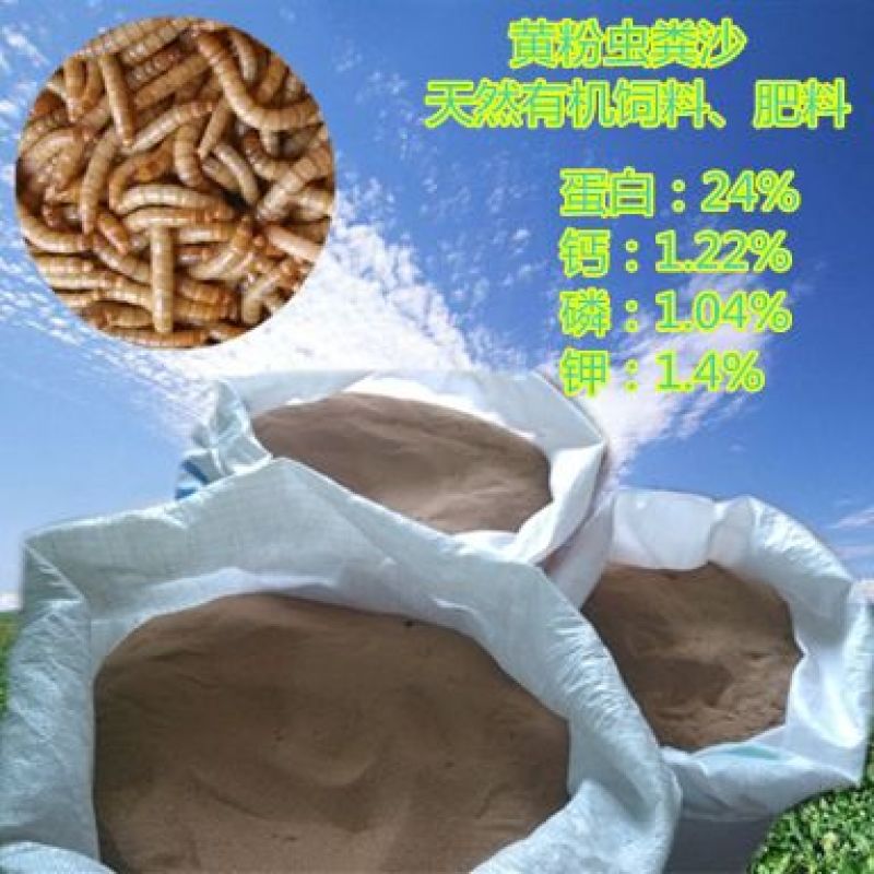 黄粉虫粪沙粪虫沙饲料原料