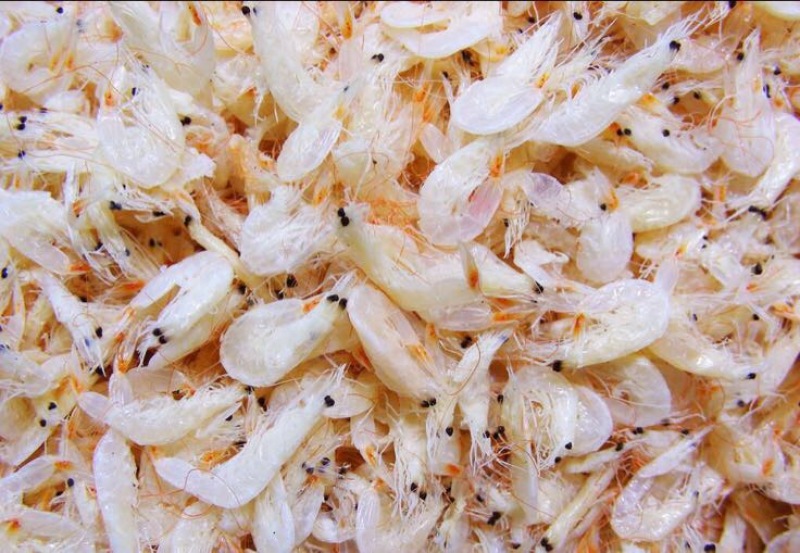 虾皮特级