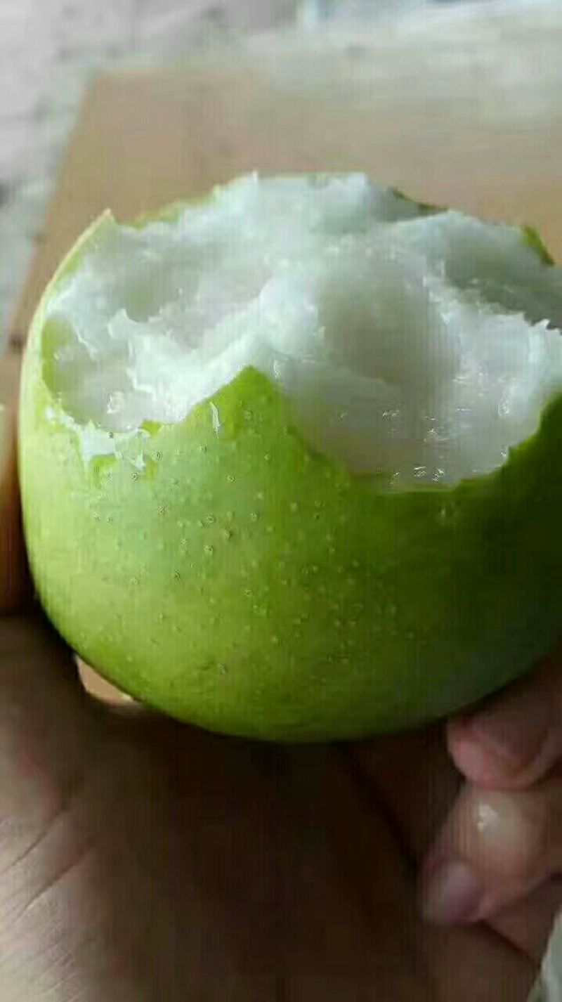 黄冠梨