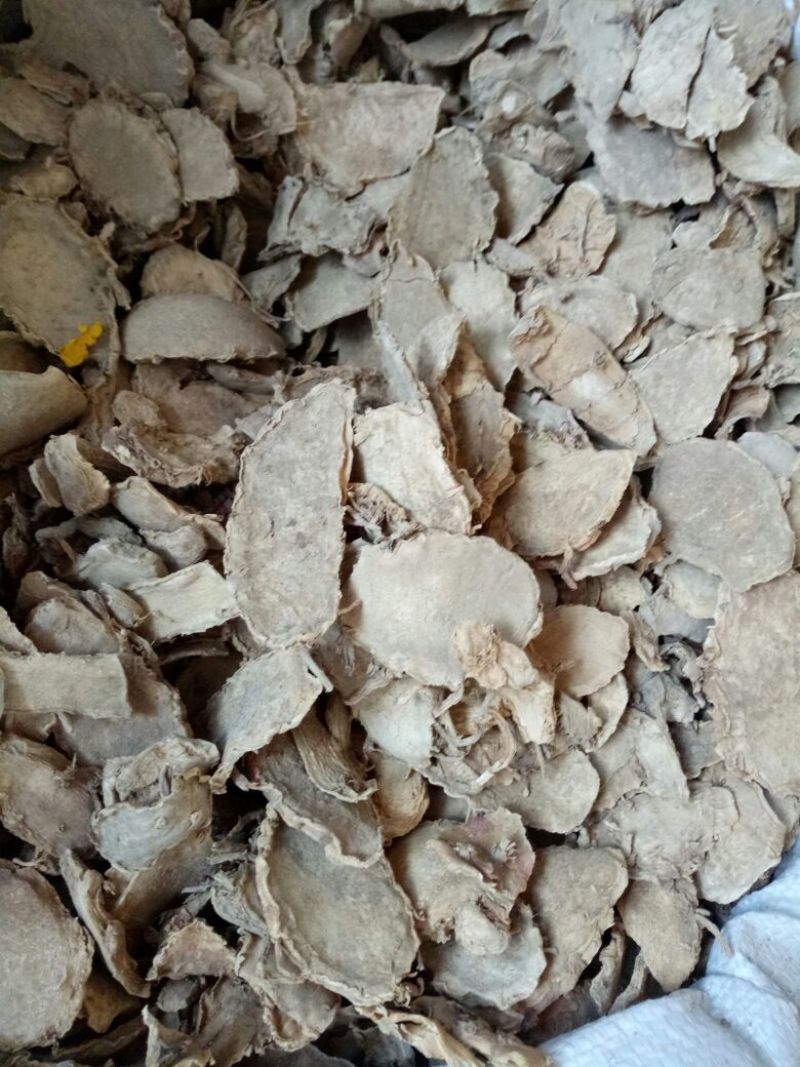 片姜黄福建选货大片量大从优健康至上莫贪便宜