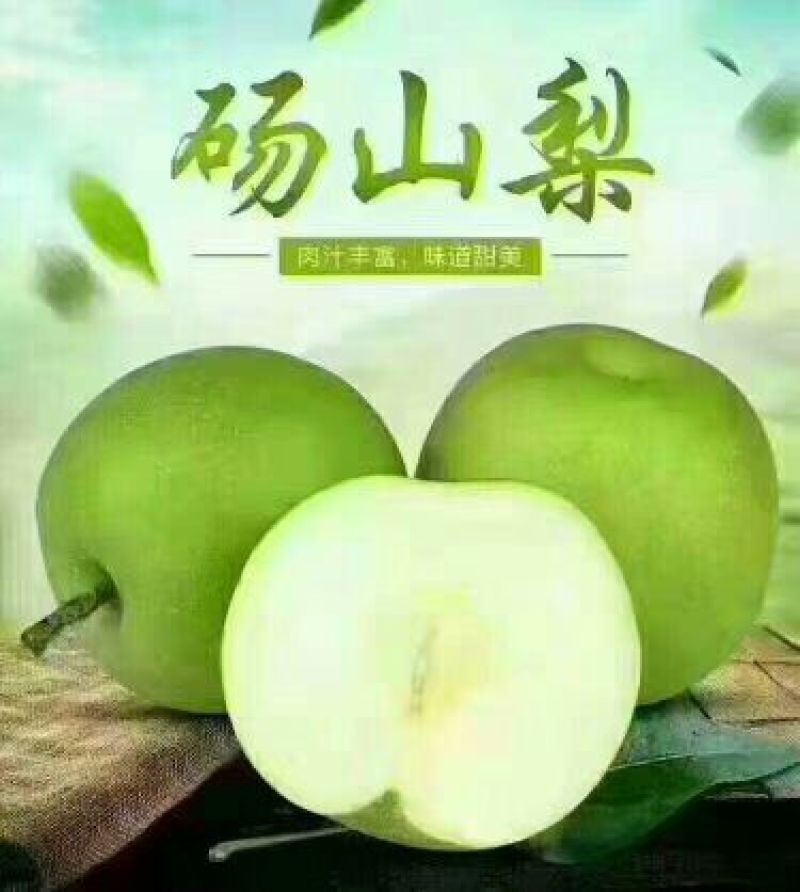 黄冠梨