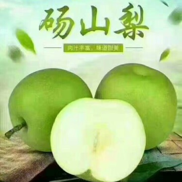 黄冠梨，四两半以上