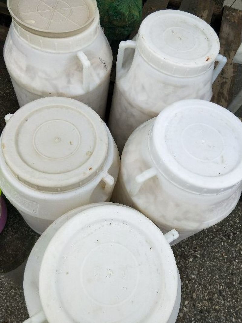 清水麻竹笋片，无添加！口感清脆爽口，长期供应