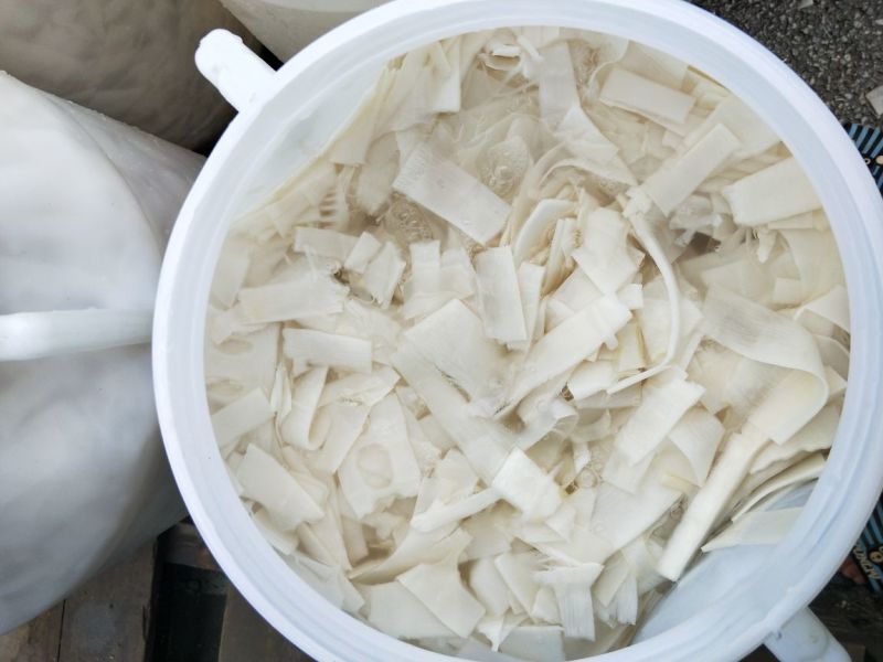 清水麻竹笋片，无添加！口感清脆爽口，长期供应