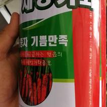 胡萝卜种子韩国世邦佳美七寸胡萝卜种子品质好商品佳