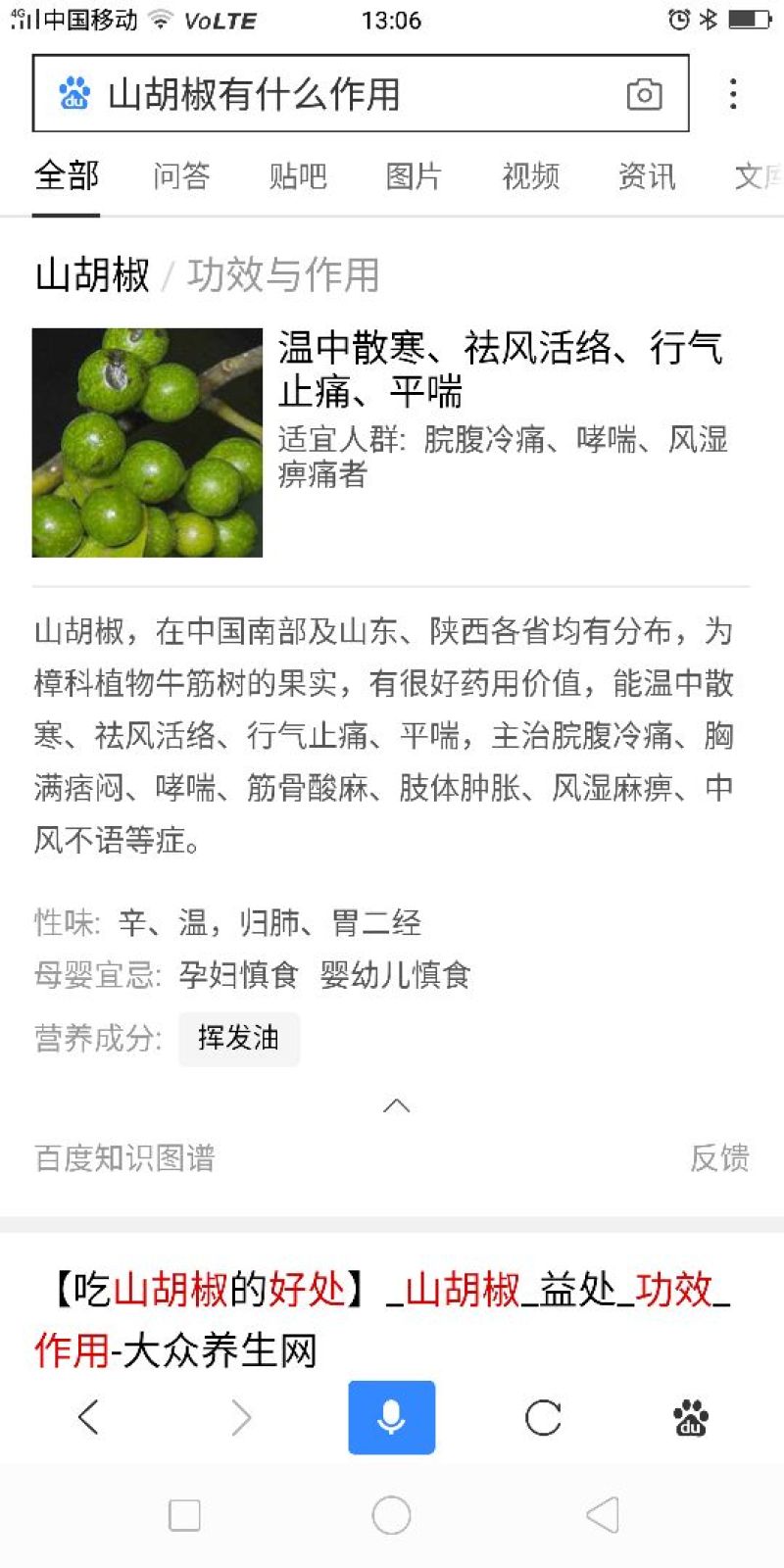 山胡椒树苗