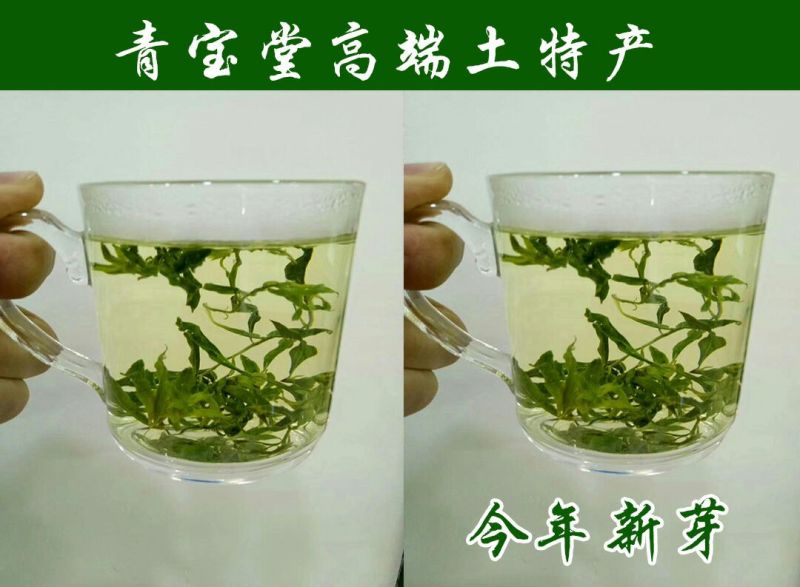枸杞芽