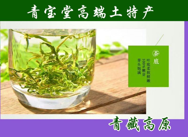 枸杞芽