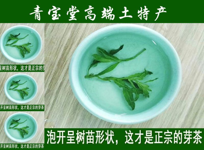 枸杞芽