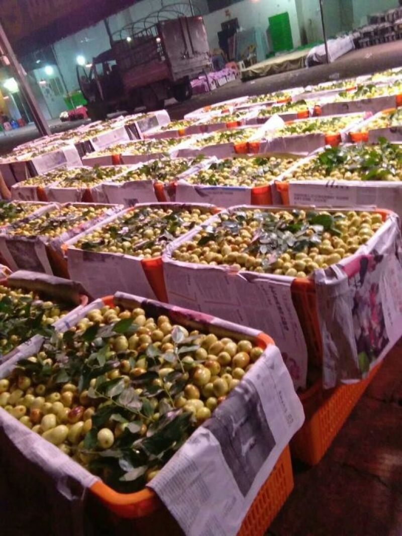 崭枣(又名展昭)