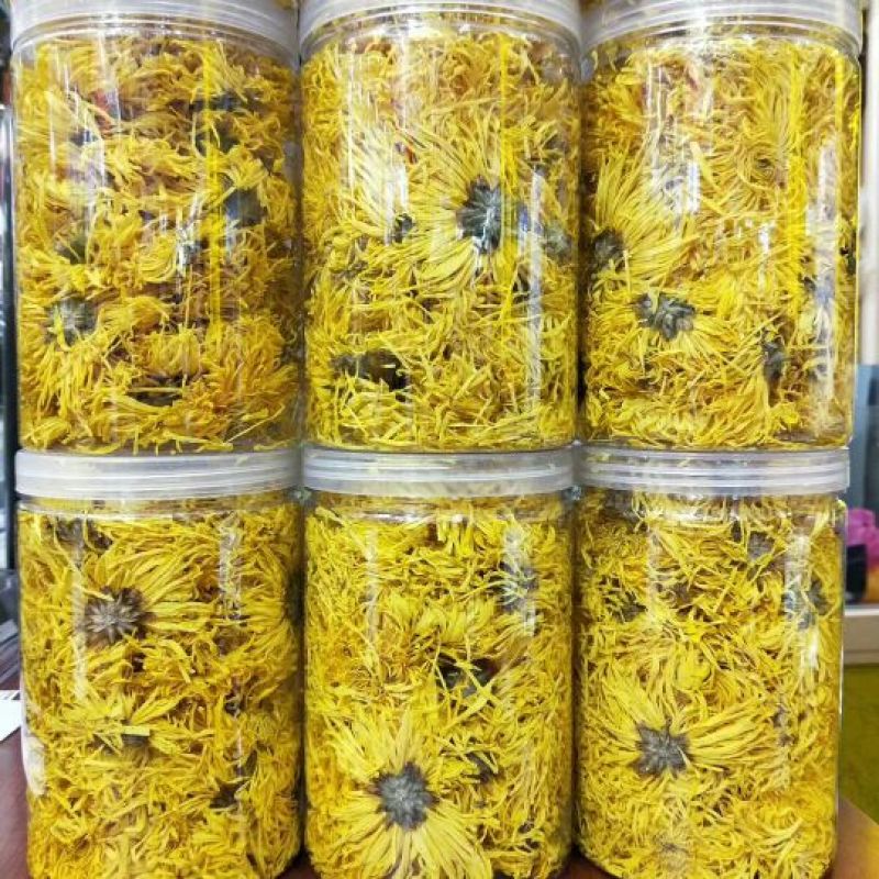 金丝皇菊茶