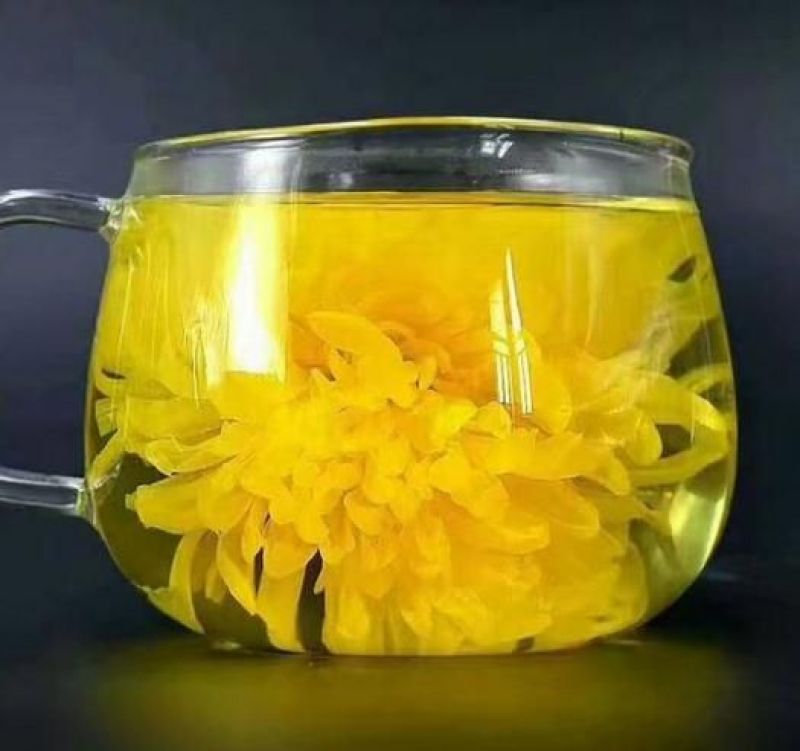 修水金丝皇菊厂家直供，大量供应