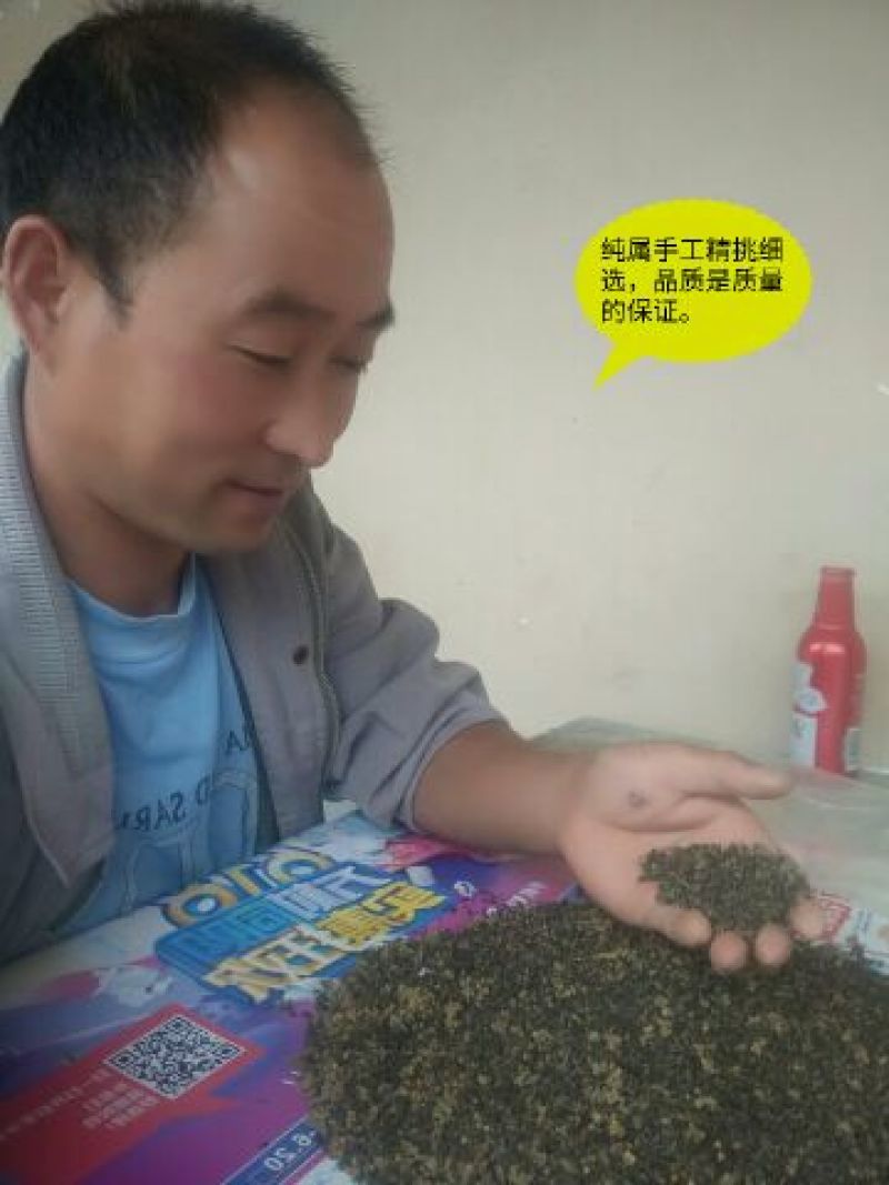 秦岭野生吴茱萸略阳吴萸无硫中小花统新货半斤包邮