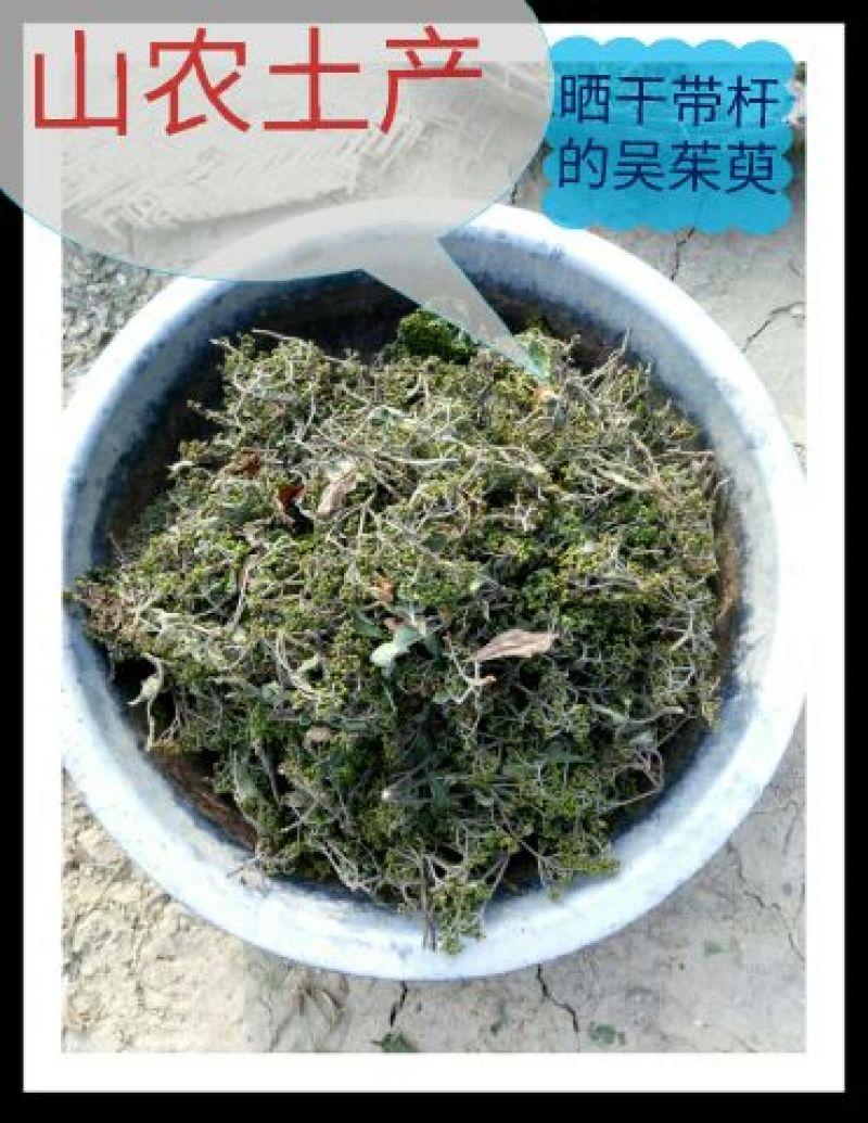 秦岭野生吴茱萸略阳吴萸无硫中小花统新货半斤包邮