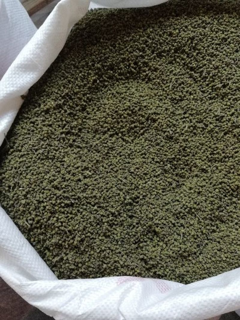 樟树市优质中花吴茱萸新货上市，质优价廉物美。