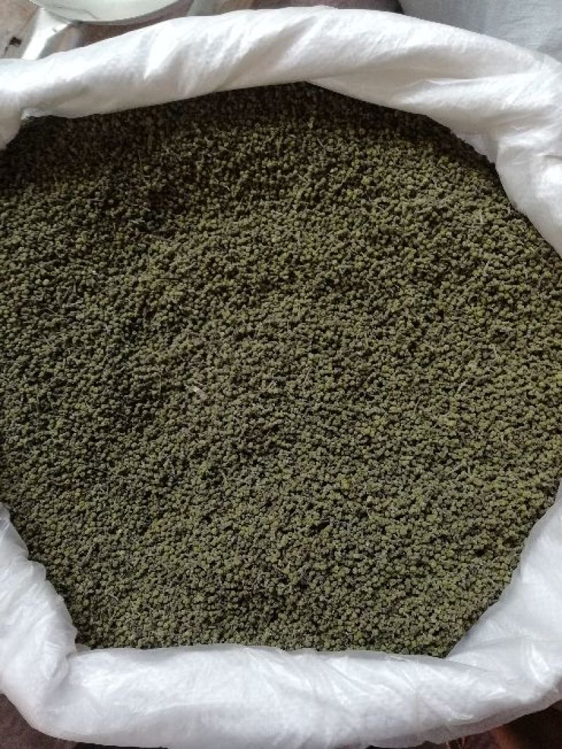 樟树市优质中花吴茱萸新货上市，质优价廉物美。