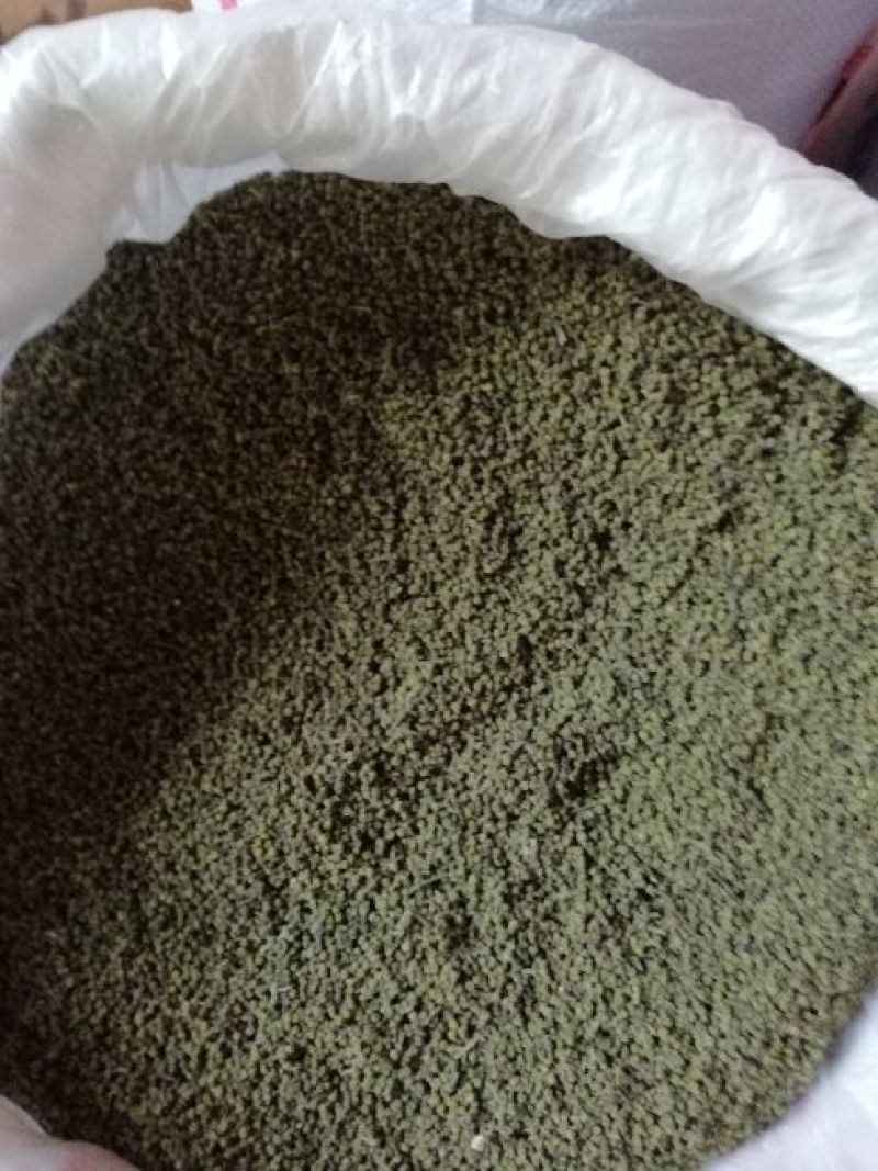 樟树市优质中花吴茱萸新货上市，质优价廉物美。