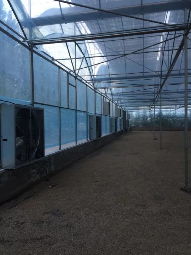 环流风机现货供应