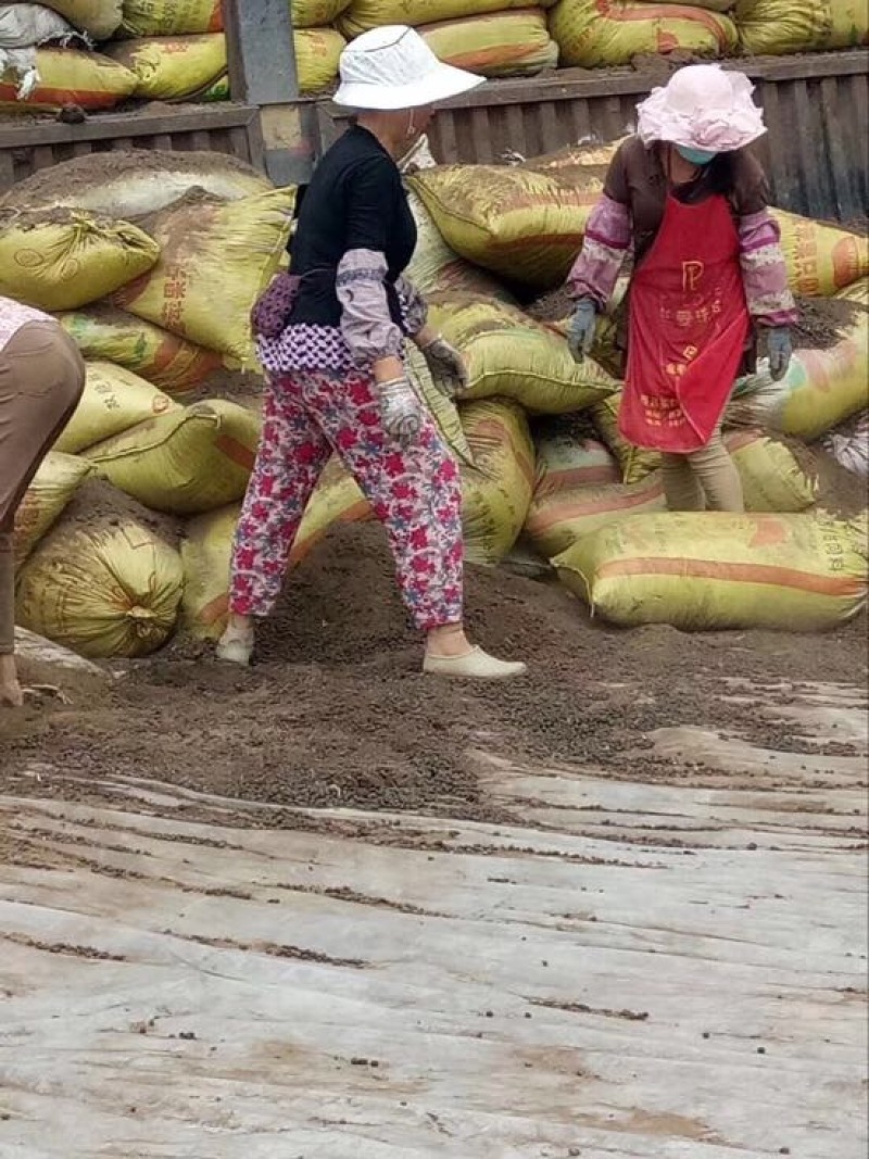 草原干羊粪纯羊粪，全国批发。优质有机肥原料，干羊粪