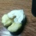 新鲜核桃要的下单