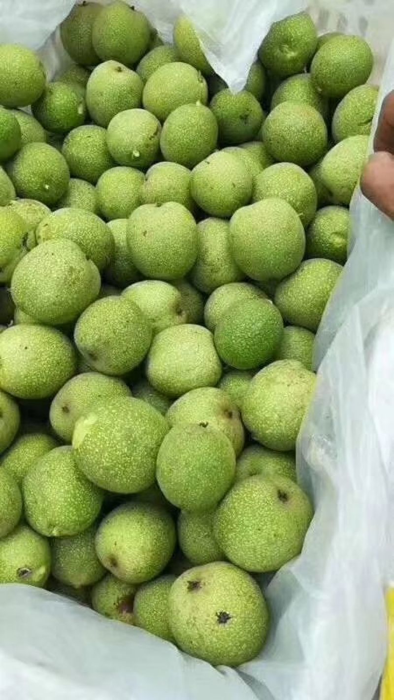 新鲜核桃要的下单