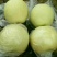 黄金梨250~300g纸袋