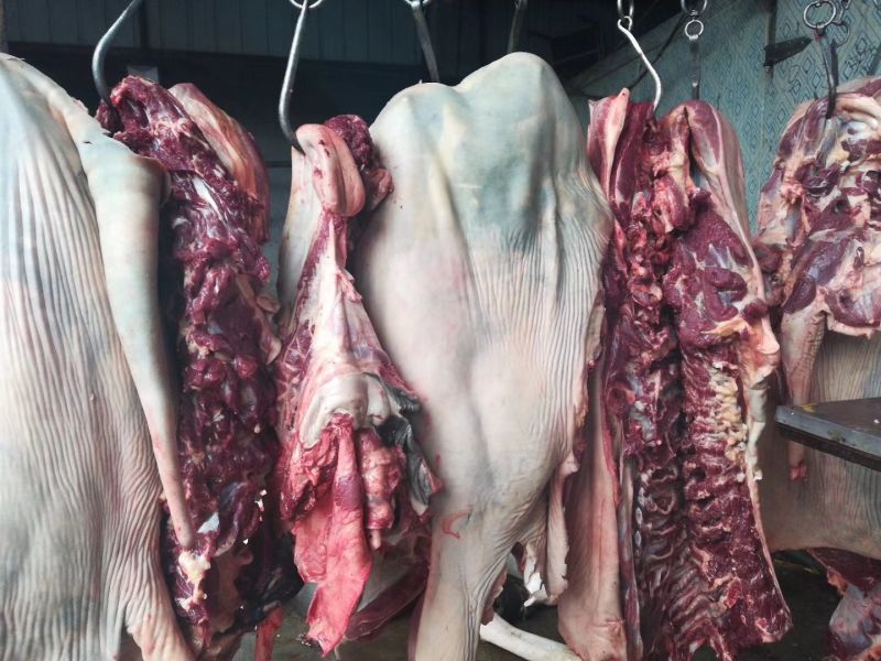 驴肉