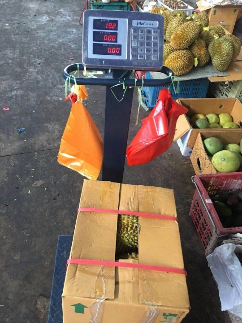 金枕头榴莲