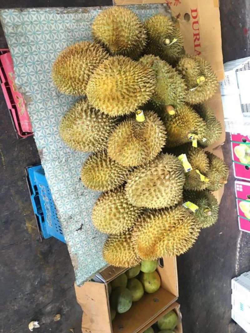 金枕头榴莲