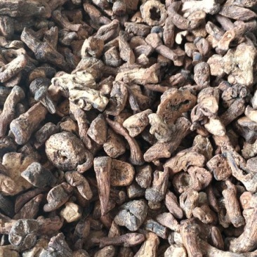 蒲公英茶