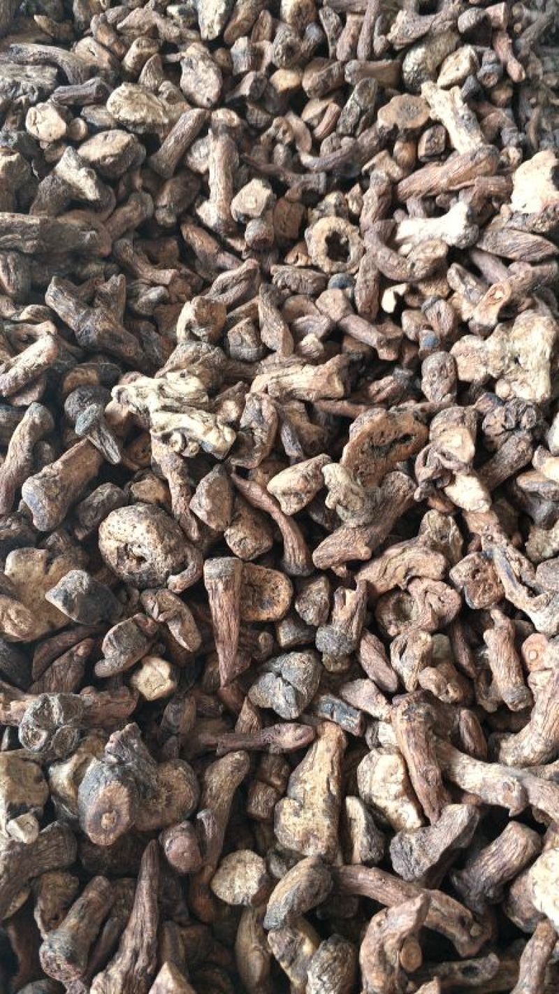 蒲公英茶