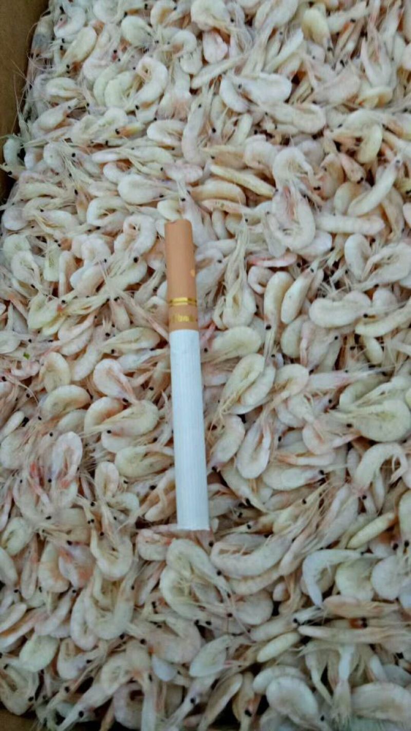 虾皮，蹦虾，麦穗虾