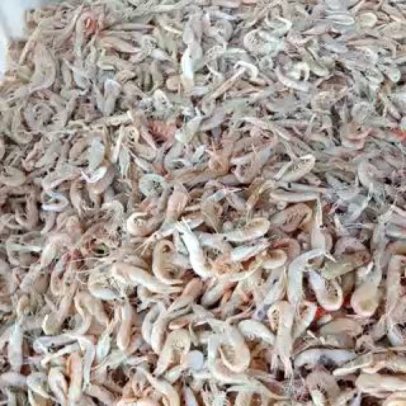 虾皮，蹦虾，麦穗虾