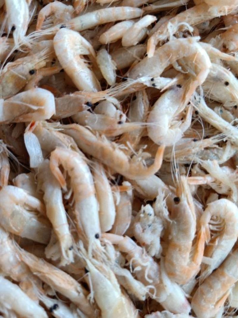 虾皮，蹦虾，麦穗虾