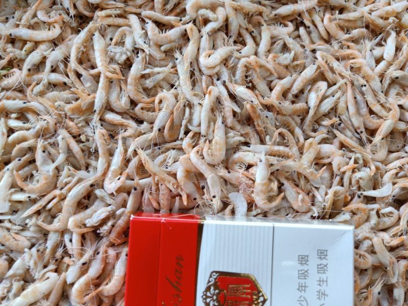 虾皮，蹦虾，麦穗虾